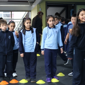 Día de la Actividad Física